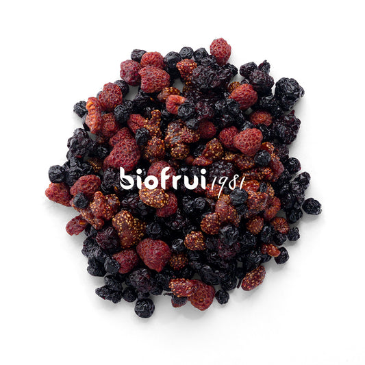 Mix Superfruits rouges séchés entiers bio des Alpes Dinariques - Pack Éco